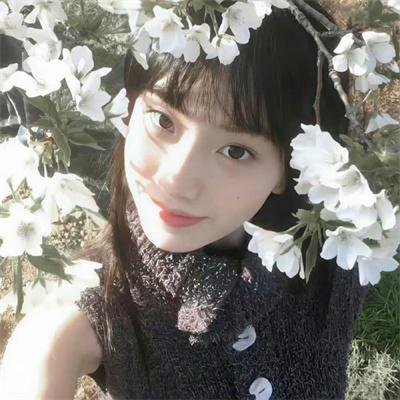 归宅部活动记录