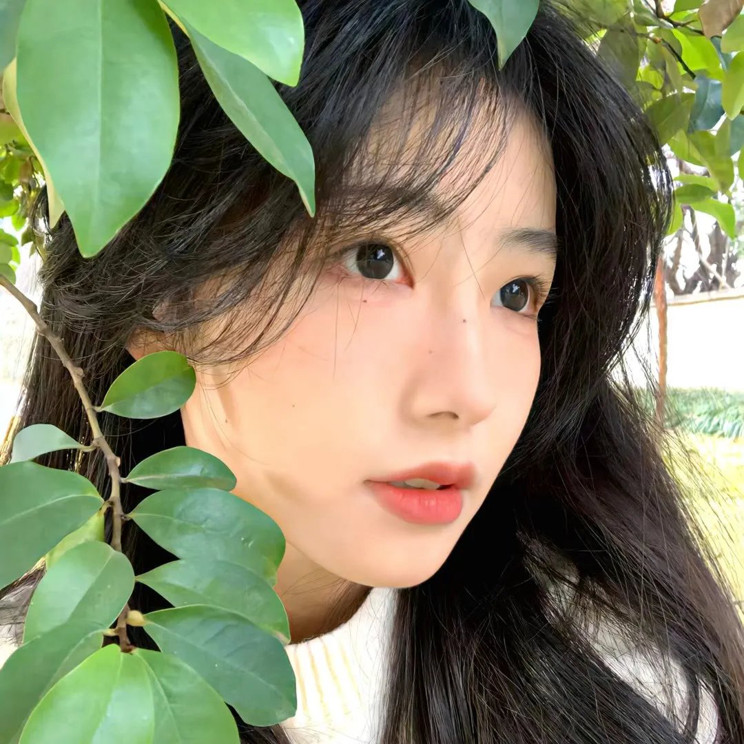 两只小猫的故事